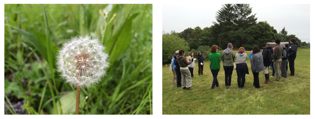 In the Discovering phase of biomimicry, we immerse ourselves in nature to observe deep patterns, learning from the earth. From this biological inquiry, we derive design principles that help us to create robust solutions. 